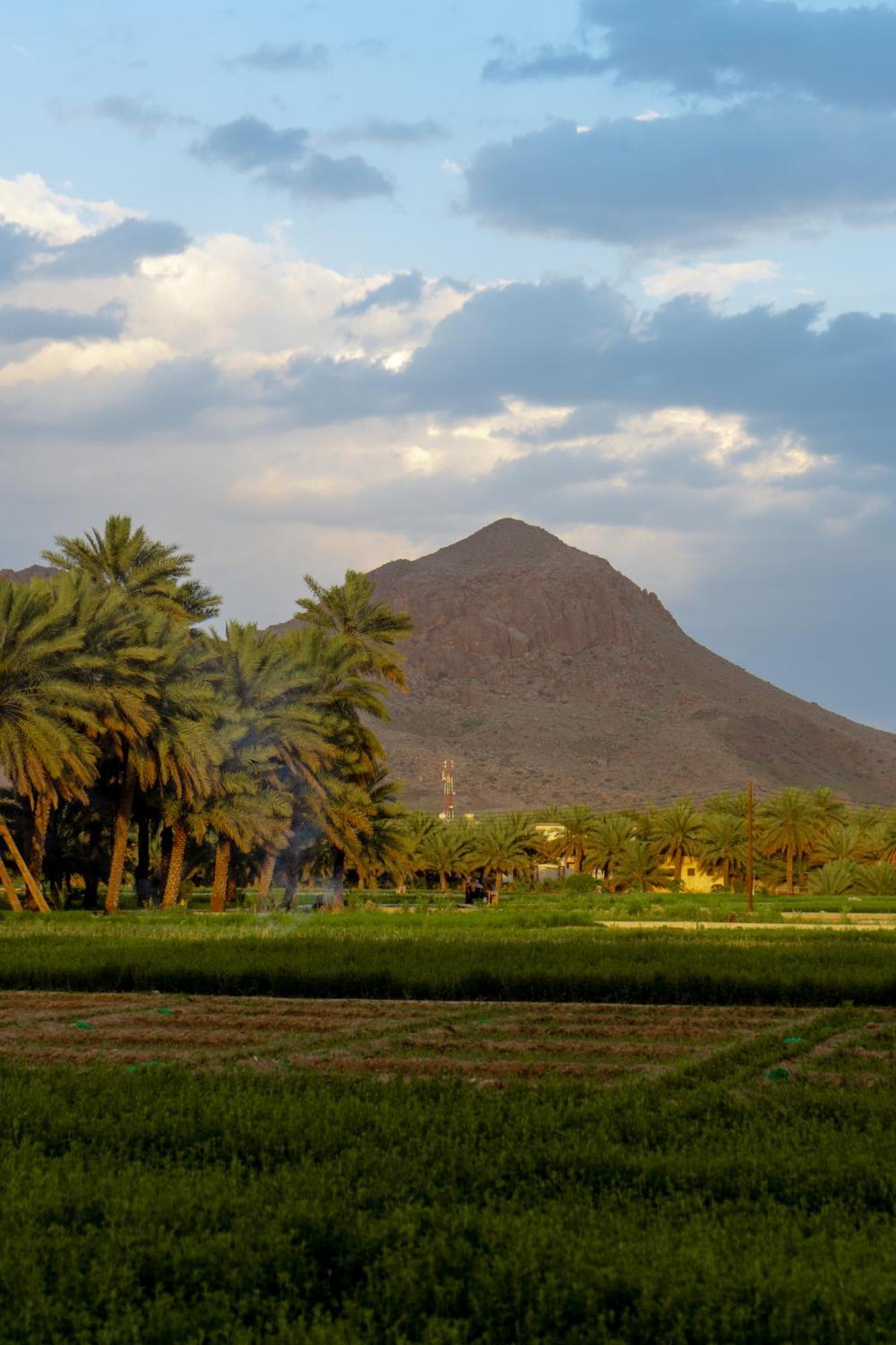 بيت نُزل السلام Bait Salam Inn Al Ḩamrāʼ Buitenkant foto